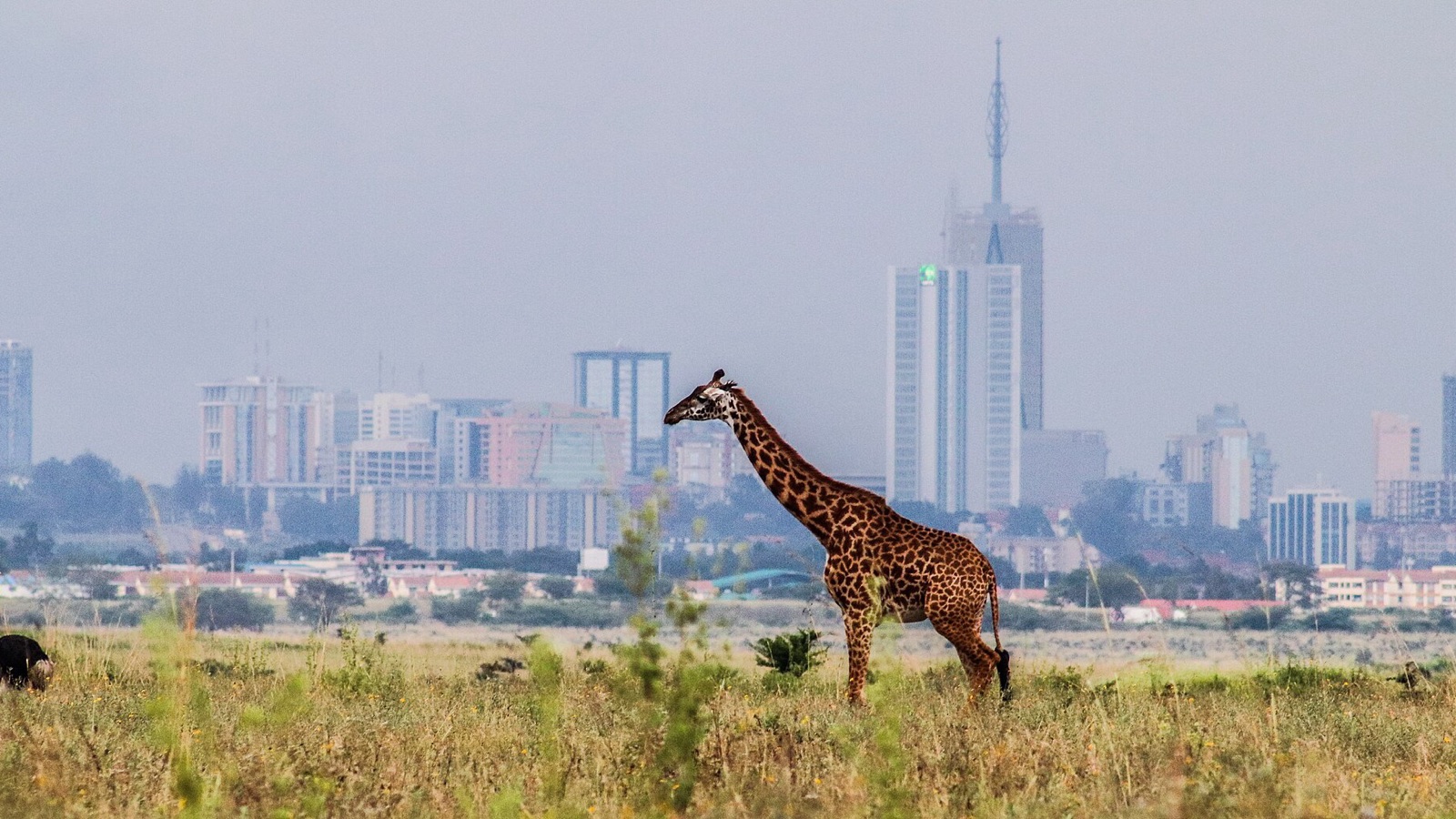 Kenya